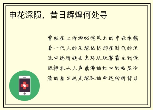 申花深陨，昔日辉煌何处寻